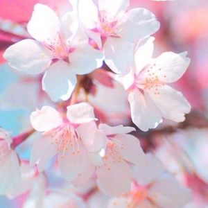 Meet your Posher, Katina